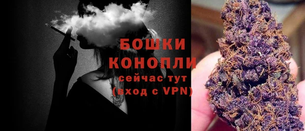 mix Гусиноозёрск
