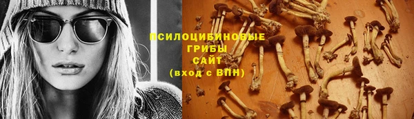 трава Гусев