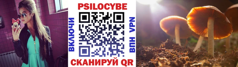 Галлюциногенные грибы GOLDEN TEACHER  даркнет формула  Дмитров 